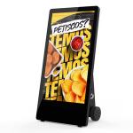 Digital Signage & Display