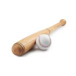 Baseball Bats