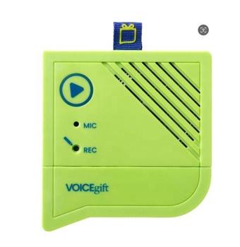 Digital Voice Recorder