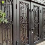 Security Door