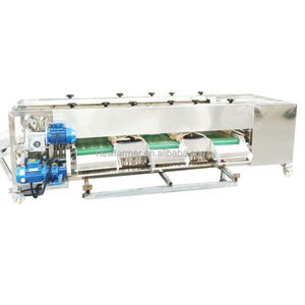Fruit & Vegetable Grader