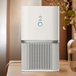 Home Air Purifier