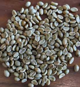 Pea