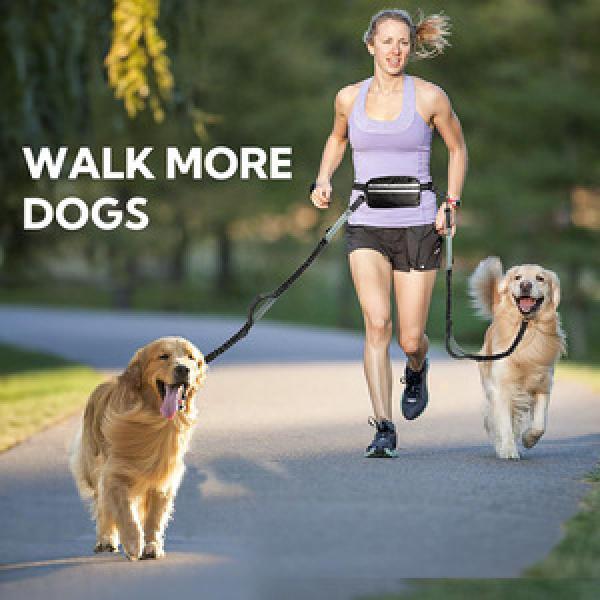 Other Pet Collars & Leashes