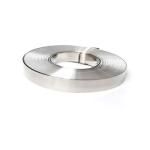 Stainless Steel Strip