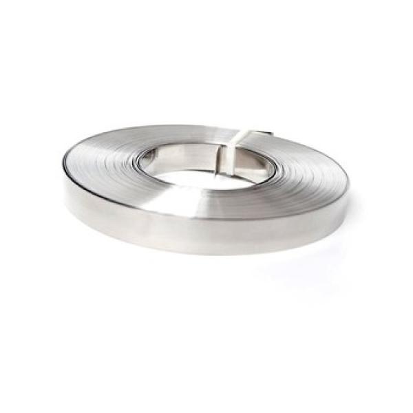 Stainless Steel Strip