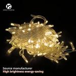 LED String Light