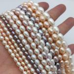 Loose Pearl Beads
