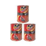 Motorcycle Lubrication System