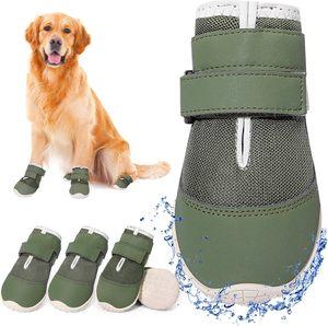 Pet Shoes & Socks