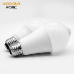 Inductive Lamp