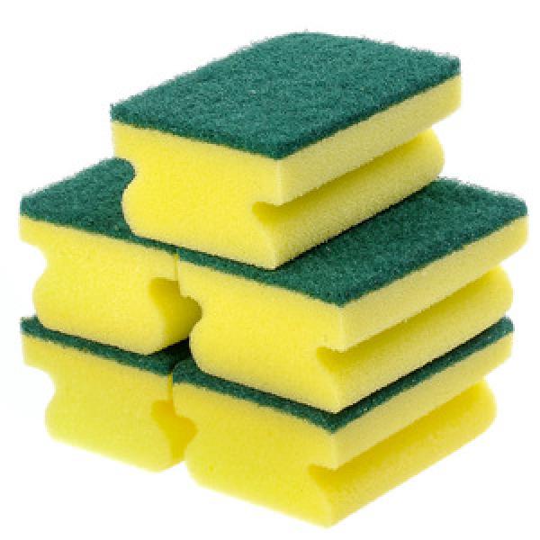 Sponge