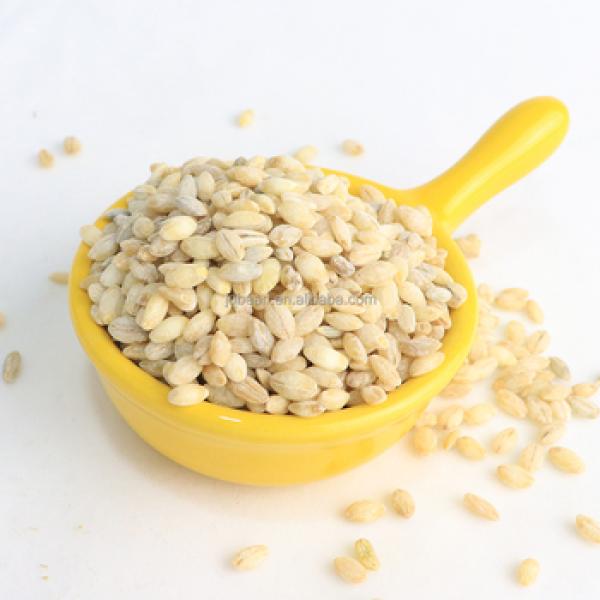 Barley