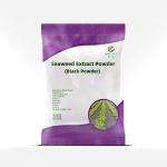 Seaweed