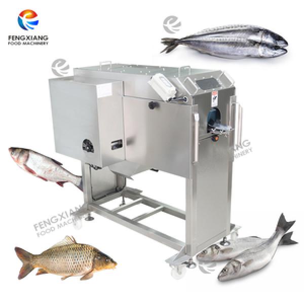 Fish Processing Machine