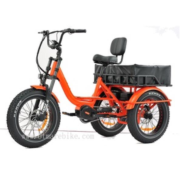 Cargo Bikes