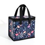 Cooling Bag