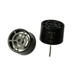 Audio Sensor