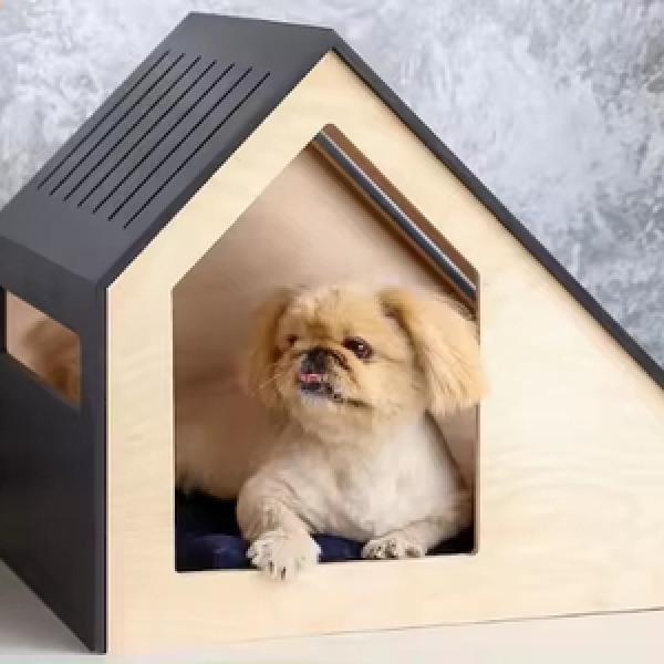 Pet House & Furniture