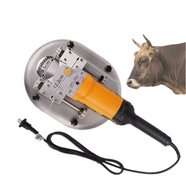 Electric Sharpener