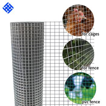 Steel Wire Mesh