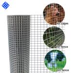 Steel Wire Mesh
