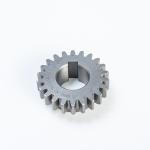 Spur Gear