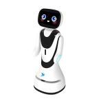 Reception Robot