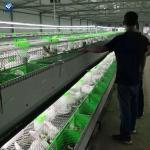 Animal Breeding Cage