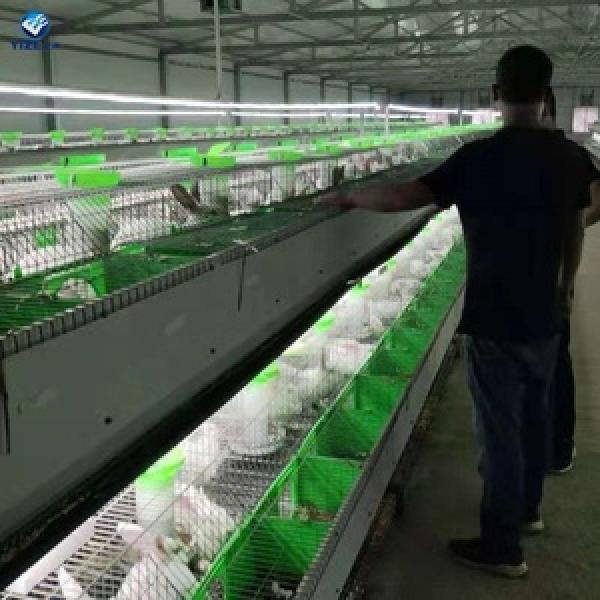 Animal Breeding Cage