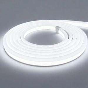 Neon Bulb & Tube