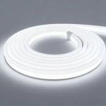 Neon Bulb & Tube