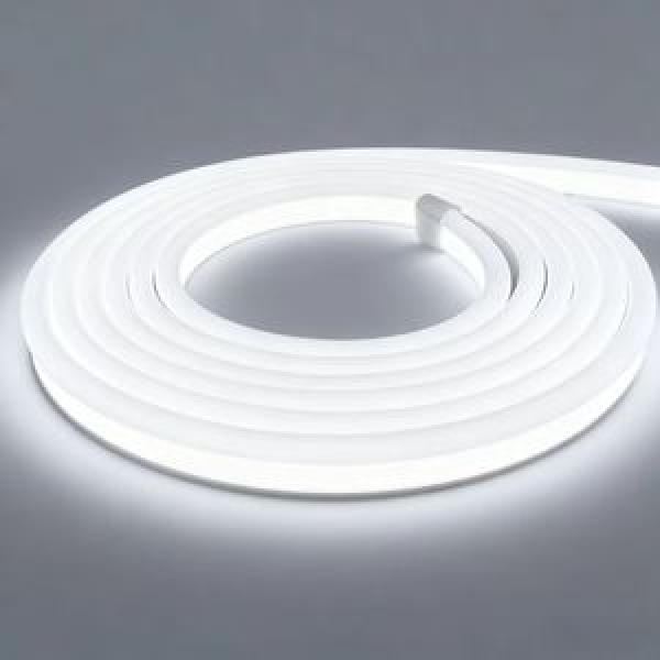 Neon Bulb & Tube