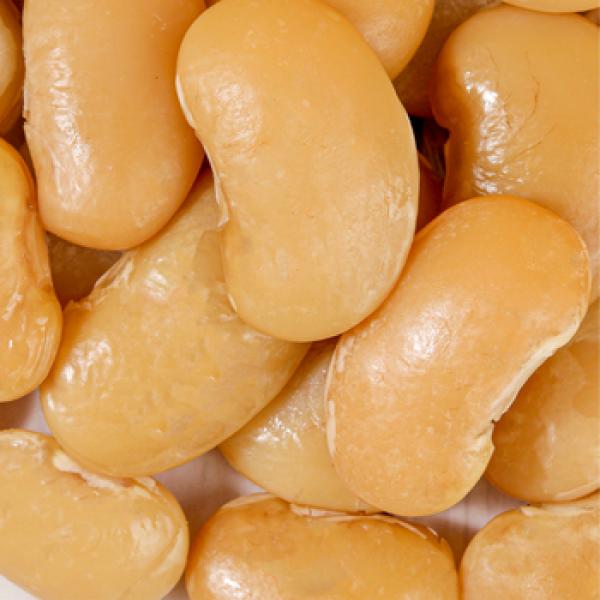Lima Bean