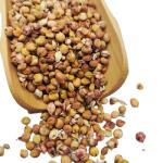 Coarse Grain Products