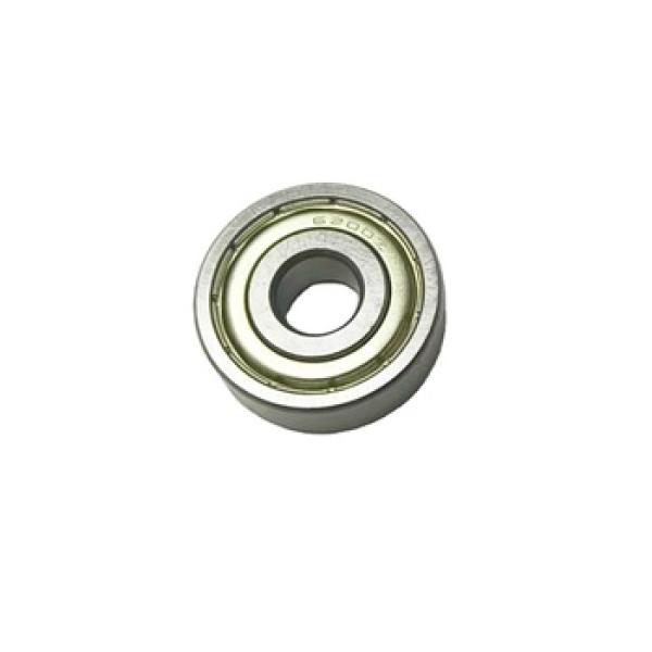 Special Bearing