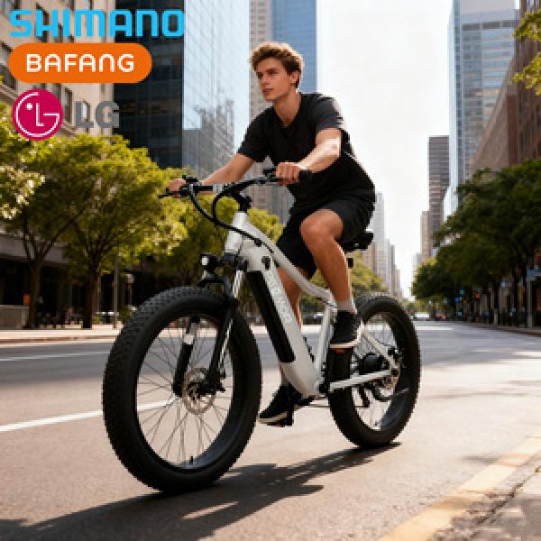 Bike Drive Systems