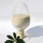 Concrete & Mortar Admixtures
