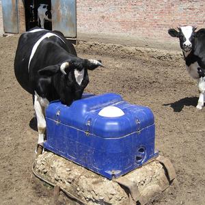 Other Animal Husbandry Equipment