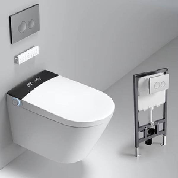 Smart Toilet