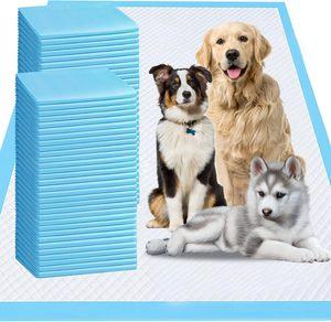 Pet Diaper