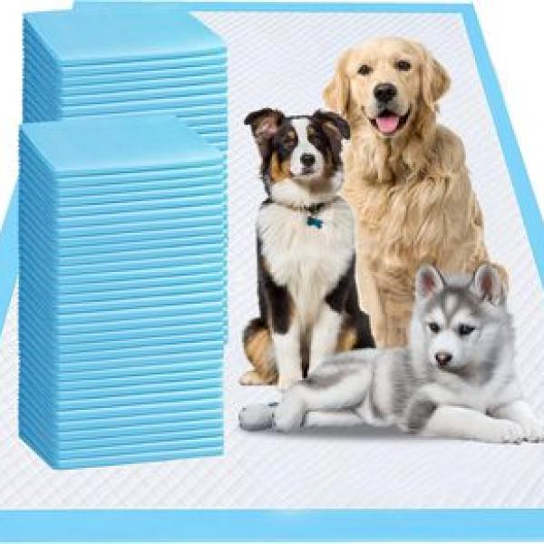 Pet Diaper