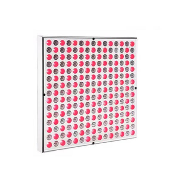 Red Light Panel