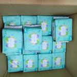 Sanitary Pad
