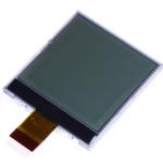 Graphic Module