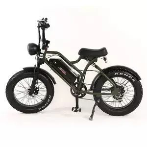 Electric Bike Motors