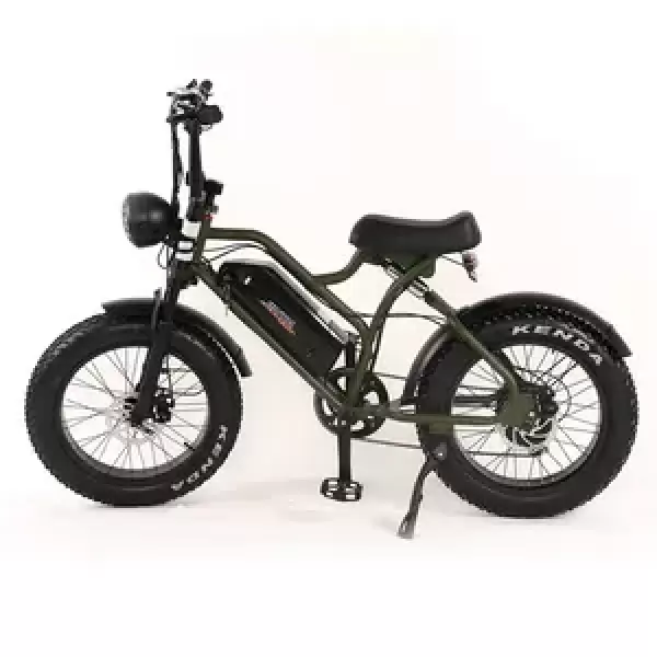Electric Bike Motors
