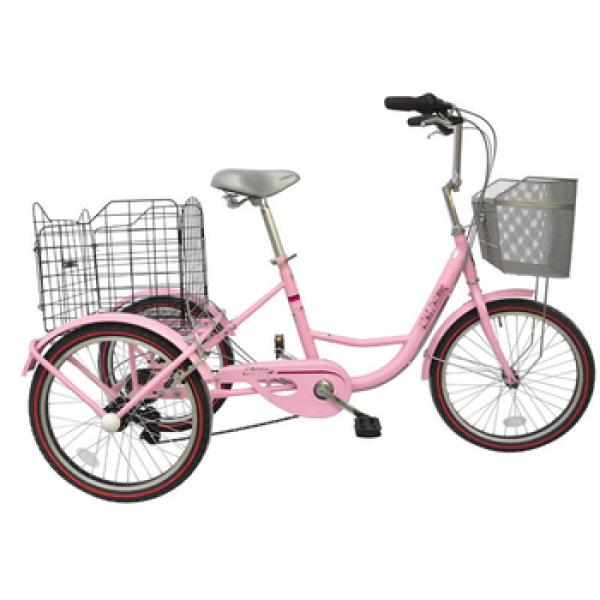 Other Tricycles