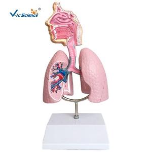 Medical Science