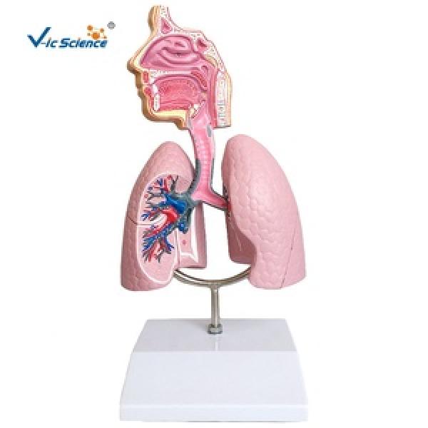 Medical Science